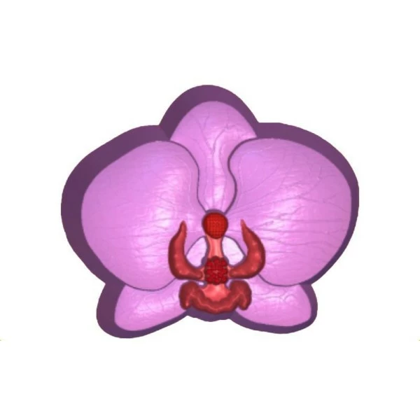 Czech Beads Exclusive Moule 1pc De Fleurs D'Orchidée Yoga Esprit Orienter En Plastique Fabrication De Savon De Cire Chocolat Gyp 1 Czech Beads Exclusive Moule 1pc De Fleurs D'Orchidée Yoga Esprit Orienter En Plastique Fabrication De Savon De Cire Chocolat Gyp