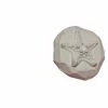 Czech Beads Exclusive Moule 1pc Étoiles De Mer De Pierre Étoile De Mer De La Marine En Plastique Fabrication De Savon De Cire Ch