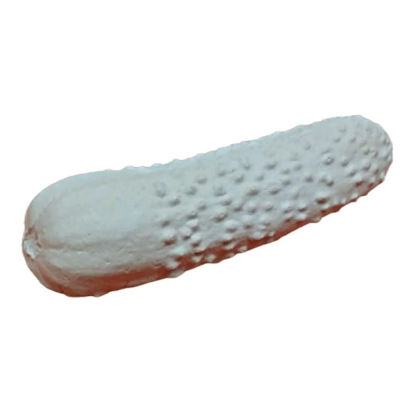 Czech Beads Exclusive Moule 1pc Concombre De Légumes De La Nourriture En Plastique Fabrication De Savon De Cire Chocolat Gypse F 1 Czech Beads Exclusive Moule 1pc Concombre De Légumes De La Nourriture En Plastique Fabrication De Savon De Cire Chocolat Gypse F
