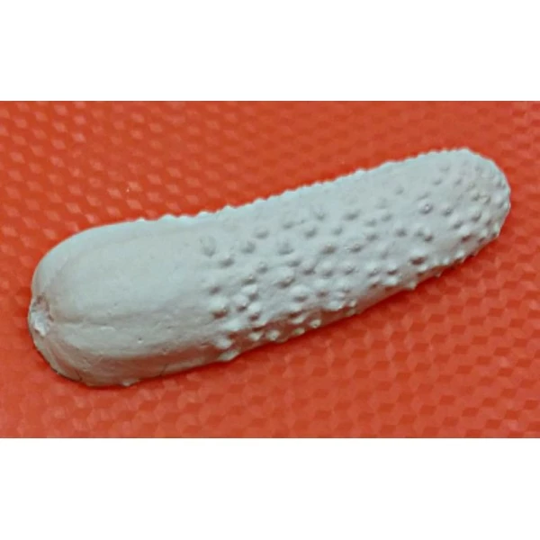 Czech Beads Exclusive Moule 1pc Concombre De Légumes De La Nourriture En Plastique Fabrication De Savon De Cire Chocolat Gypse F 2 Czech Beads Exclusive Moule 1pc Concombre De Légumes De La Nourriture En Plastique Fabrication De Savon De Cire Chocolat Gypse F – Image 2