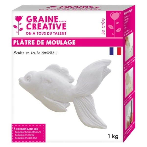 DTM Plâtre De Moulage X 1 Kg 1 DTM Plâtre De Moulage X 1 Kg