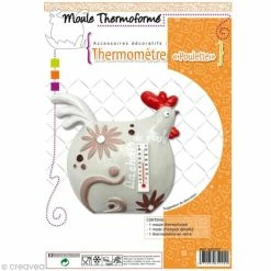 DTM Moule Plastique Poule Et Thermomètre à Décorer