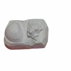 Czech Beads Exclusive Moule 1pc Coquillage, Coquille De Mer De Pierre Marin En Plastique Fabrication De Savon De Cire Chocolat G